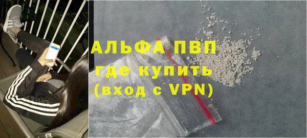прущий лед Богданович
